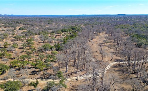 Farm Ranch in Round Mountain, Texas, Vereinigte Staaten 1