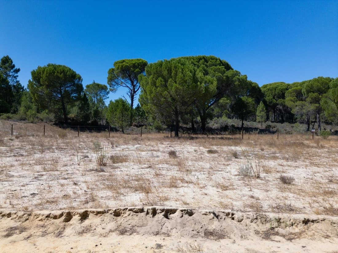 Land in Grandola e Santa Margarida da Serra, Setubal, Portugal 3 - 17652575