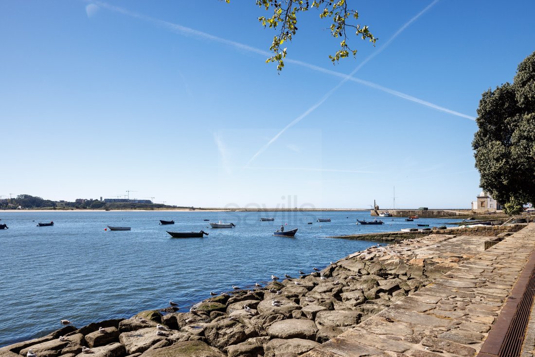 Apartment in Aldoar, Foz do Douro e Nevogilde, Porto District, Portugal 5 - 17653014