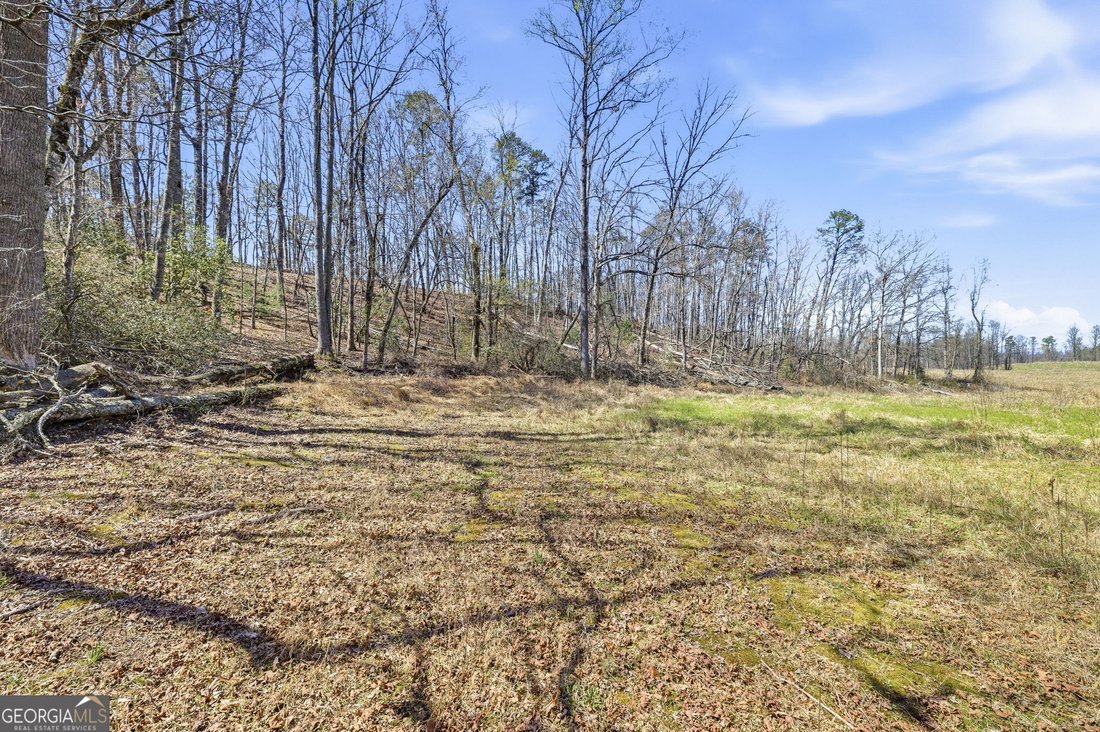 Farm Ranch in Clarkesville, Georgia, United States 4 - 17646065