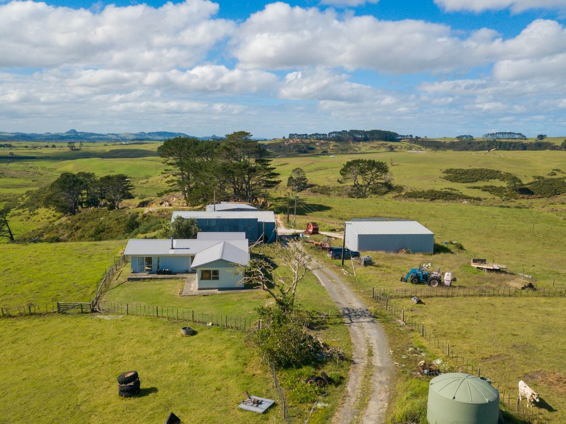 Farm Ranch in Dargaville, Northland, New Zealand 4 - 17651650