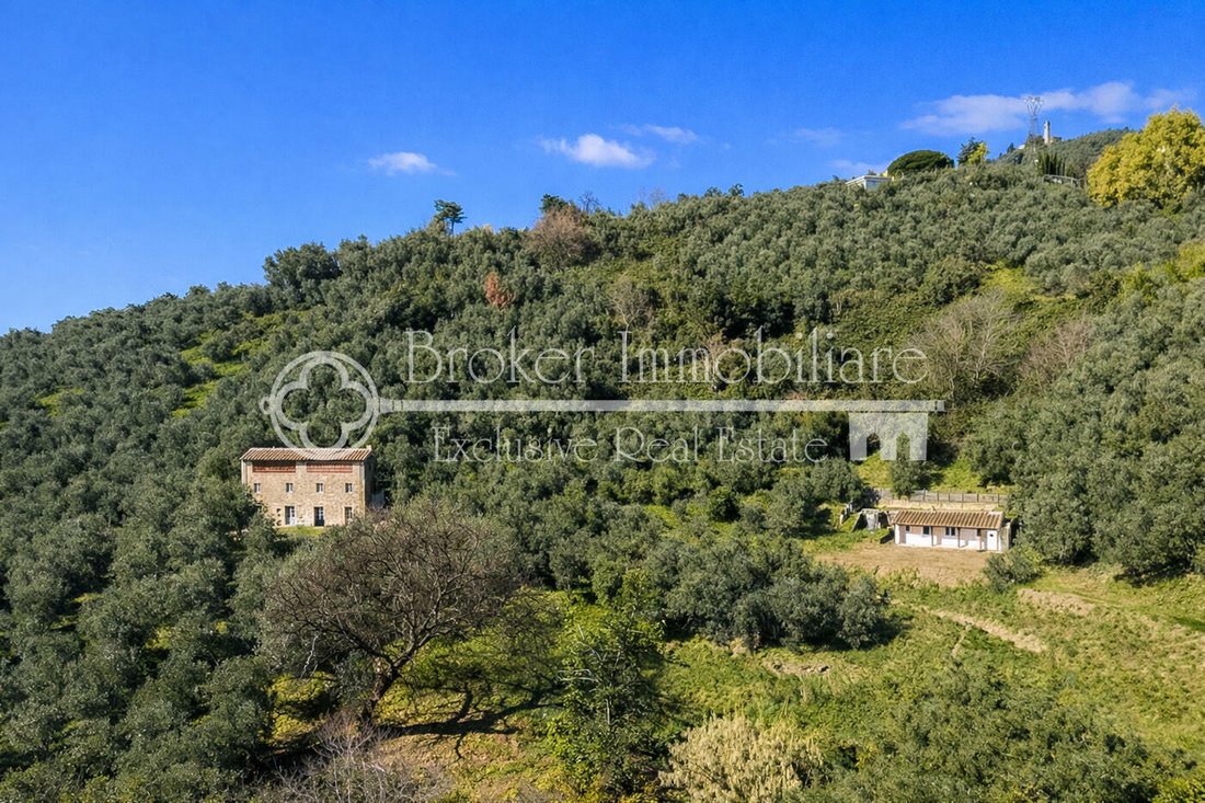 Villa in Lido di Camaiore, Camaiore, Tuscany 2 - 17329616