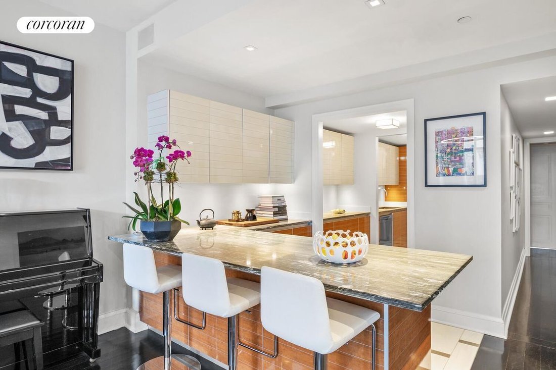 Condo in New York, New York, United States 5 - 17644365
