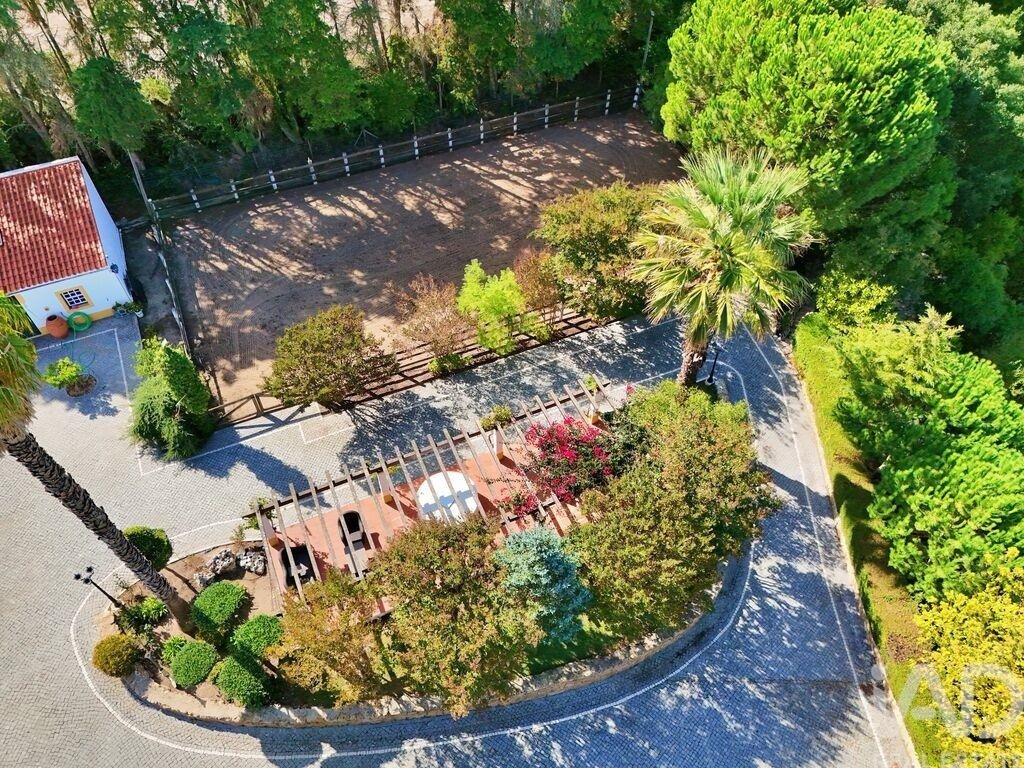 Farm Ranch in Bombarral e Vale Covo, Leiria District, Portugal 4 - 17653007