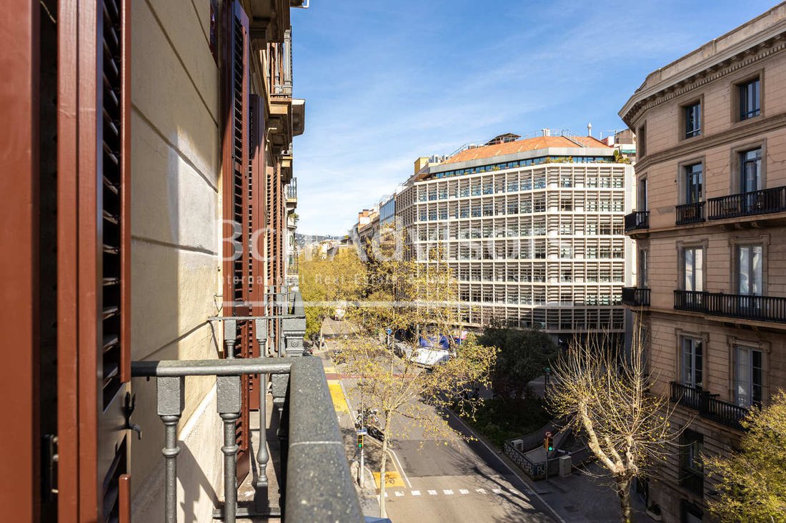 Apartment in Eixample, Barcelona, Spain 3 - 16542506