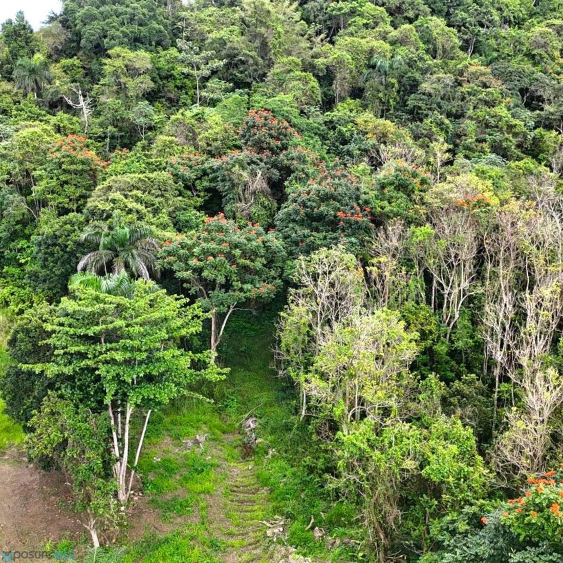 Land in Pajonal, Florida, Puerto Rico 2 - 17645501