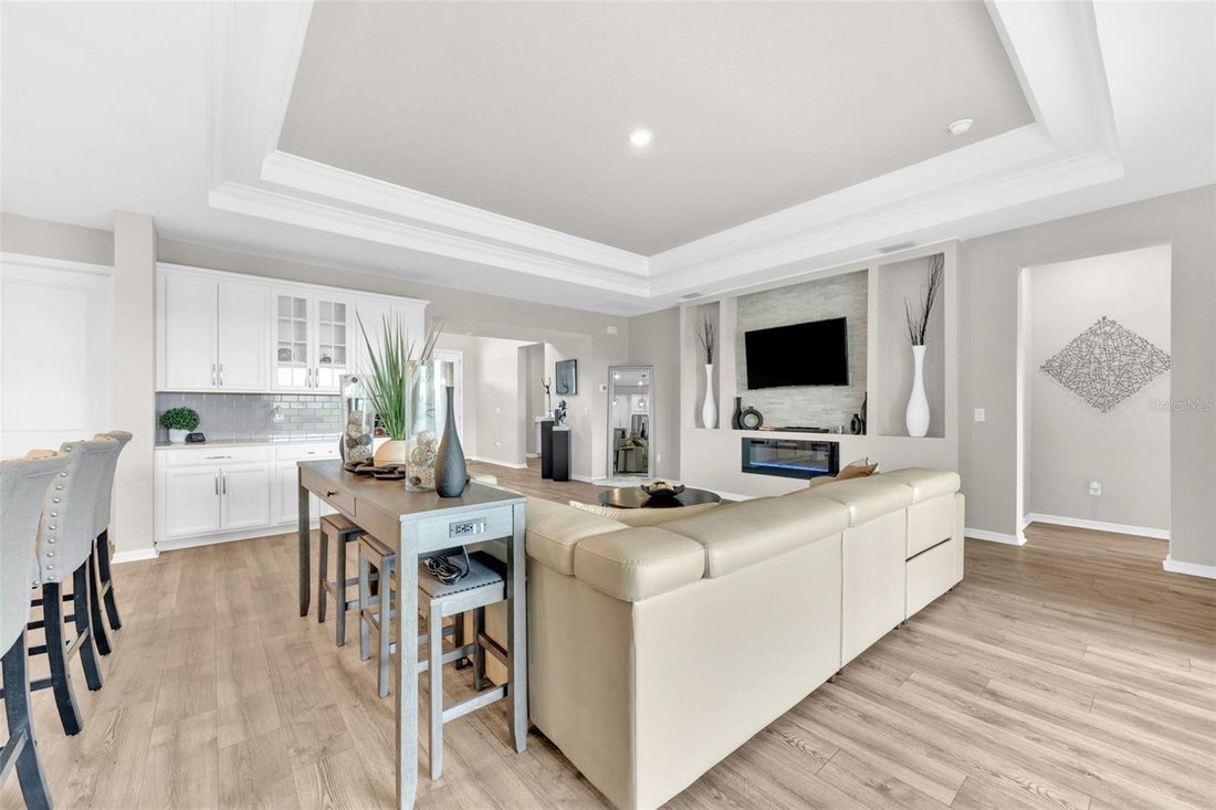 House in Wesley Chapel, Florida, United States 5 - 17645995