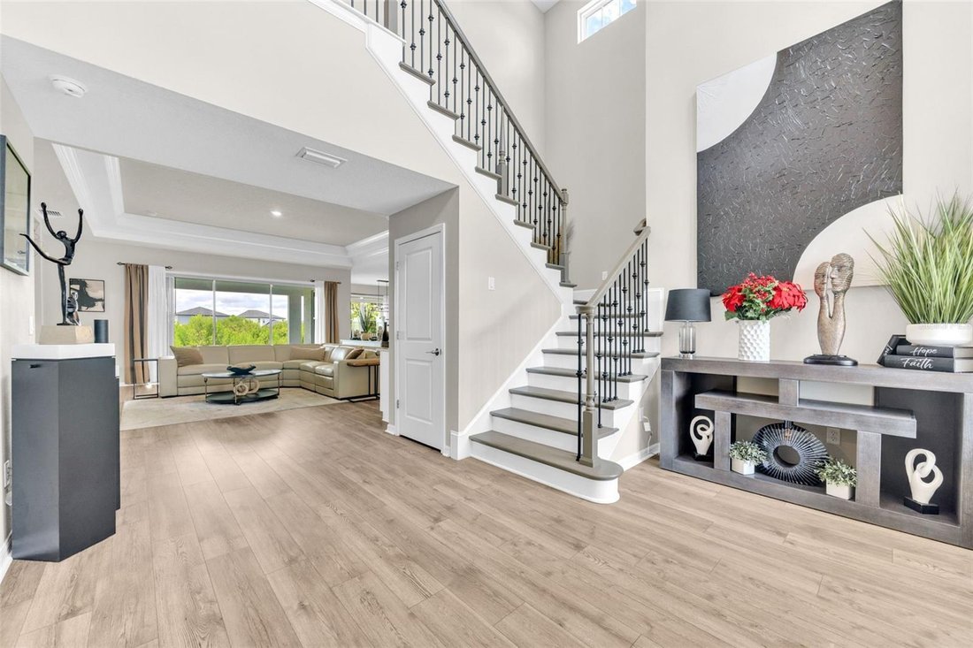 House in Wesley Chapel, Florida, United States 3 - 17645995