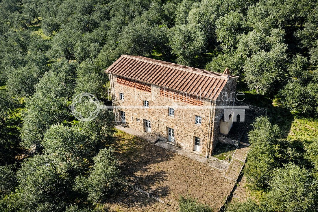 Villa in Lido di Camaiore, Camaiore, Tuscany 5 - 17329616
