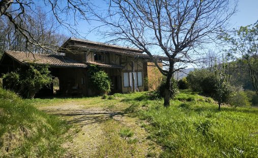 Estate in Mirepoix, Occitania, France 1