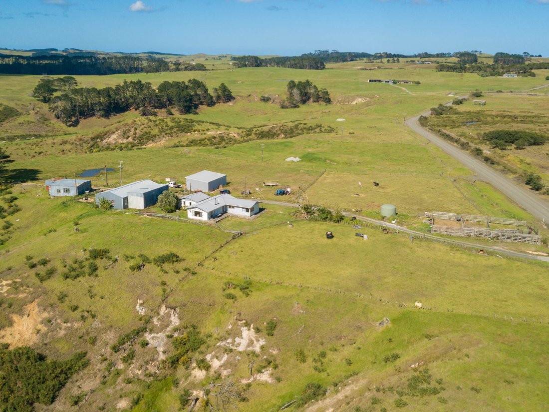 Farm Ranch in Dargaville, Northland, New Zealand 5 - 17651650