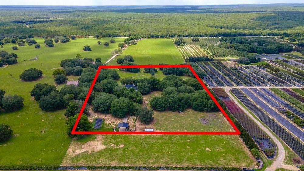 House in Umatilla, Florida, United States 1 - 17603999
