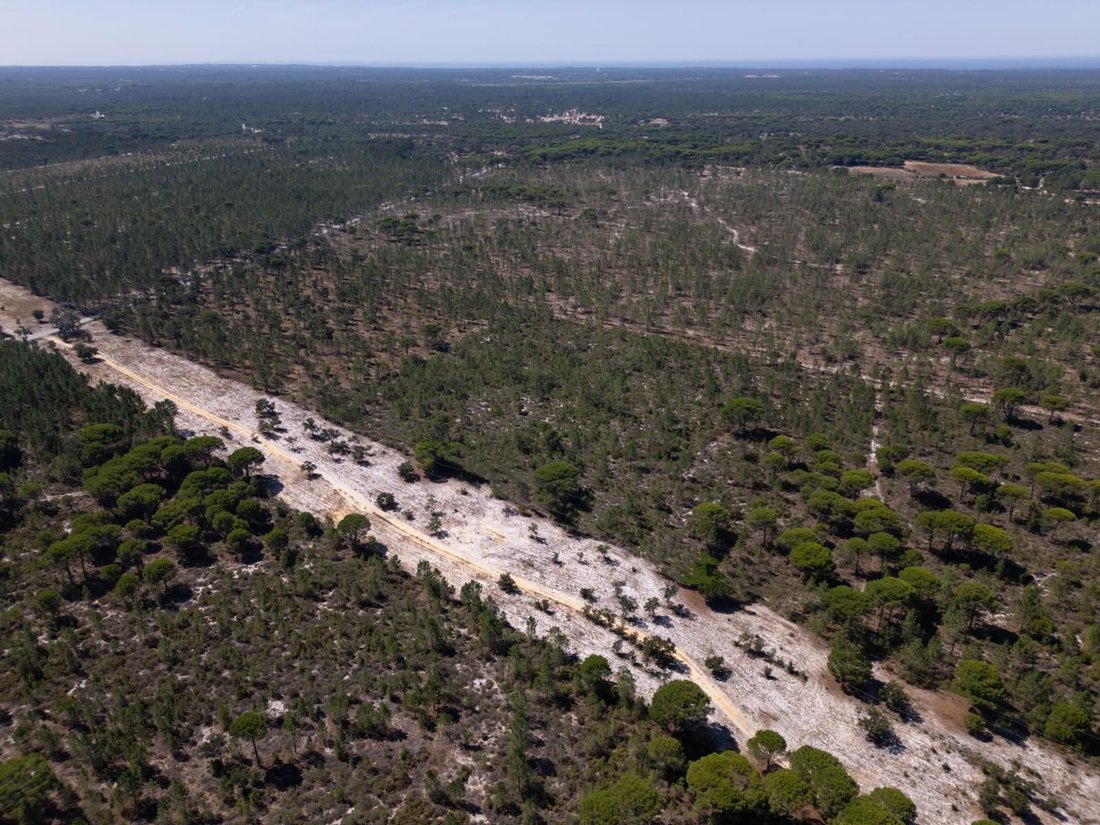Land in Grandola e Santa Margarida da Serra, Setubal, Portugal 2 - 17652575