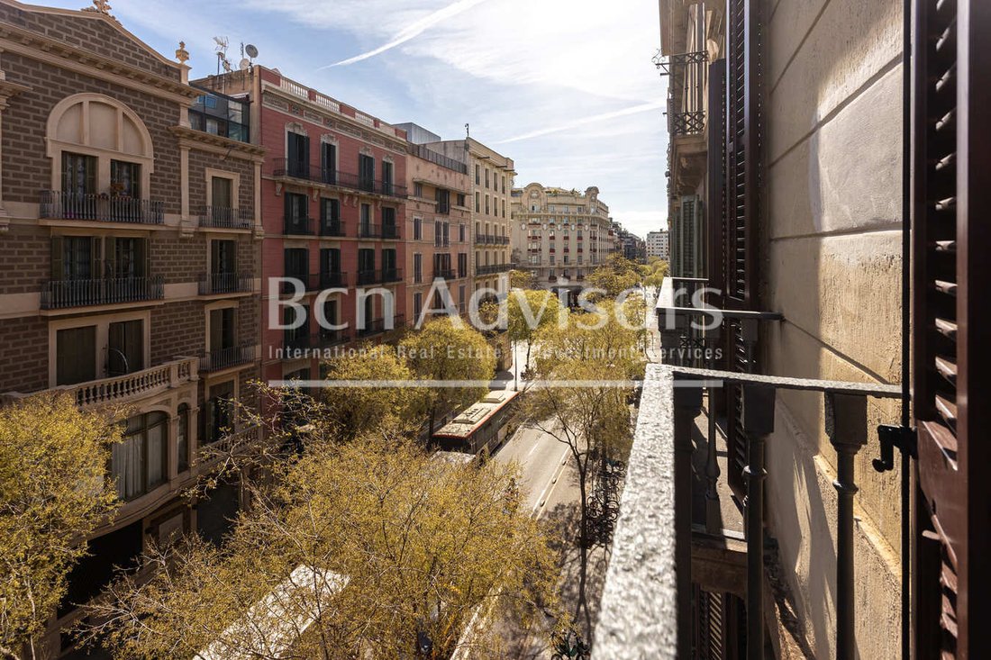 Apartment in Eixample, Barcelona, Spain 5 - 16542506