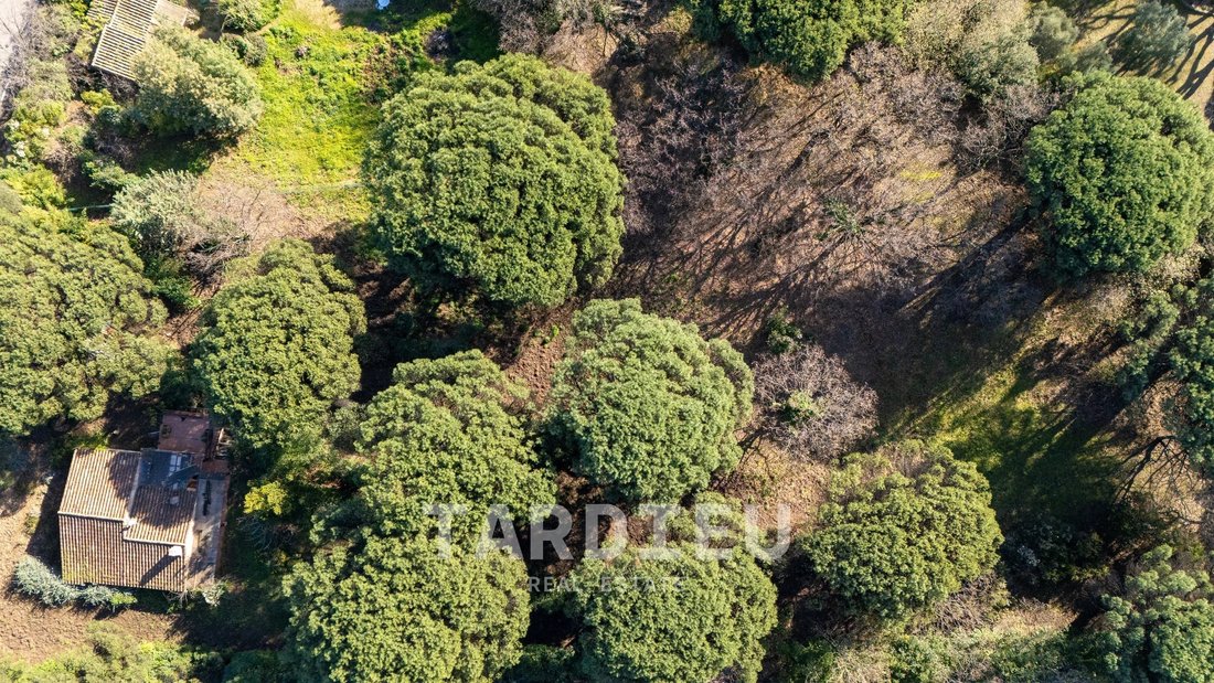 Land in Ramatuelle, Provence-Alpes-Côte d'Azur, France 1 - 17629760
