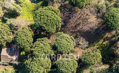 Terreno a Ramatuelle, Provenza-Alpi-Costa Azzurra, Francia 1
