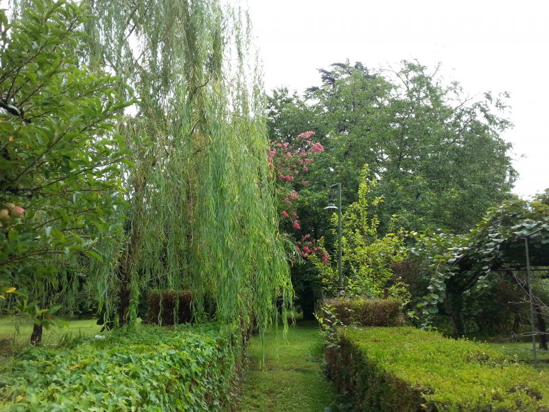 Estate in Buscate, Lombardy, Italy 1 - 17645359
