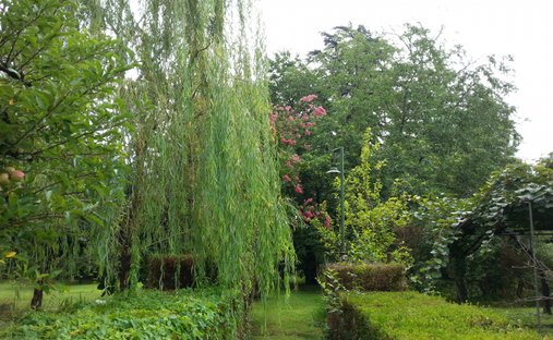 Estate in Buscate, Lombardy, Italy 1