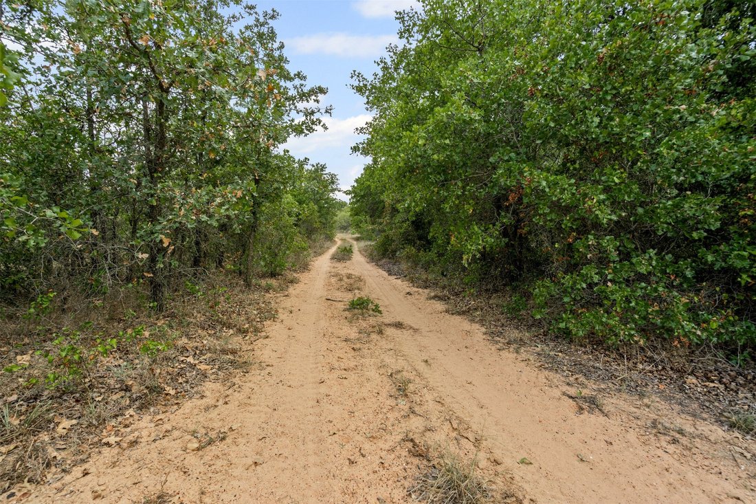 Land in Desdemona, Texas, United States 4 - 17646060