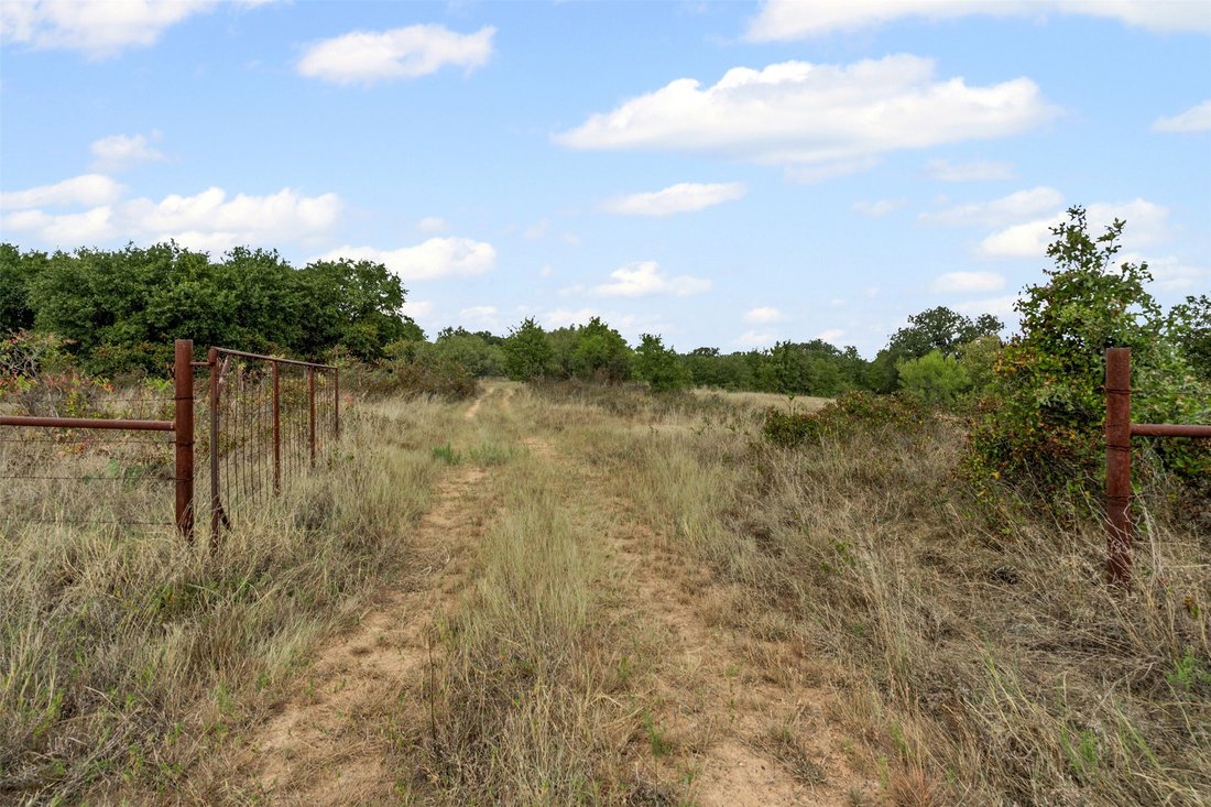 Land in Desdemona, Texas, United States 5 - 17646060