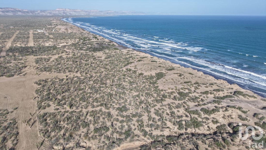 Land in Las Parcelas, Baja California Sur, Mexico 5 - 17646689