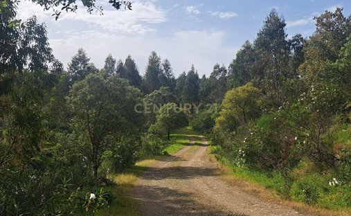 Terreno en Herrera de Alcantara, Extremadura, España 1