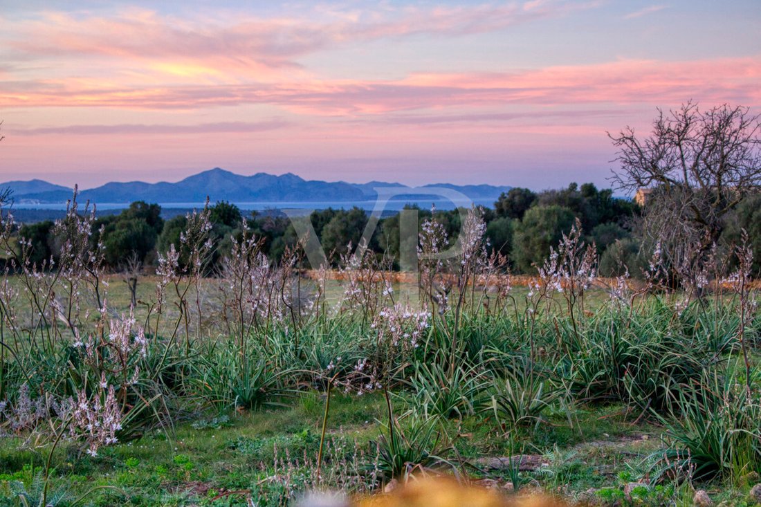 Land in Manacor, Balearic Islands, Spain 3 - 17651173