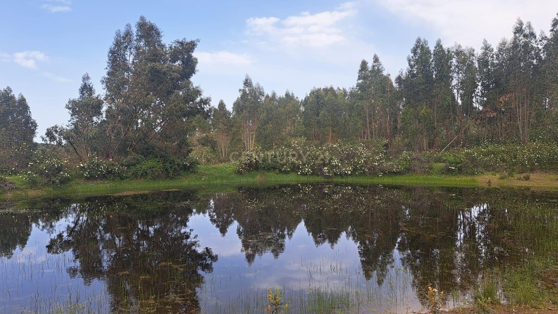 Land in Herrera de Alcantara, Extremadura, Spain 1 - 17652472