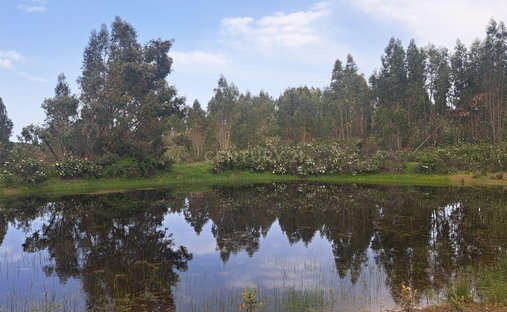 Terreno a Herrera de Alcantara, Estremadura, Spagna 1
