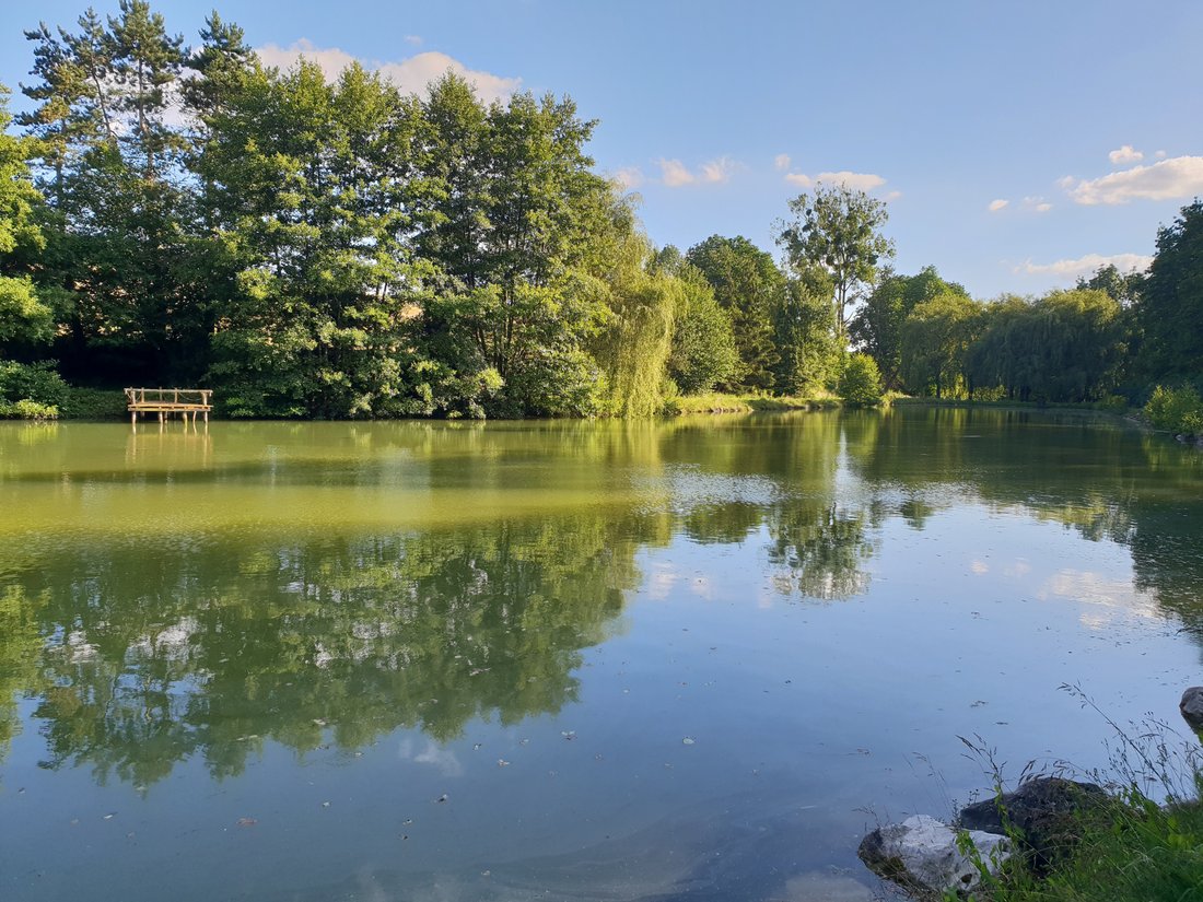 Anwesen in Saulchery, Nordfrankreich, Frankreich 4 - 17652420