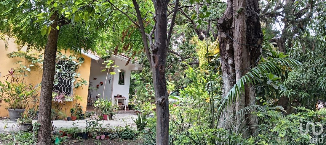 House in Mexico 4 - 17646699