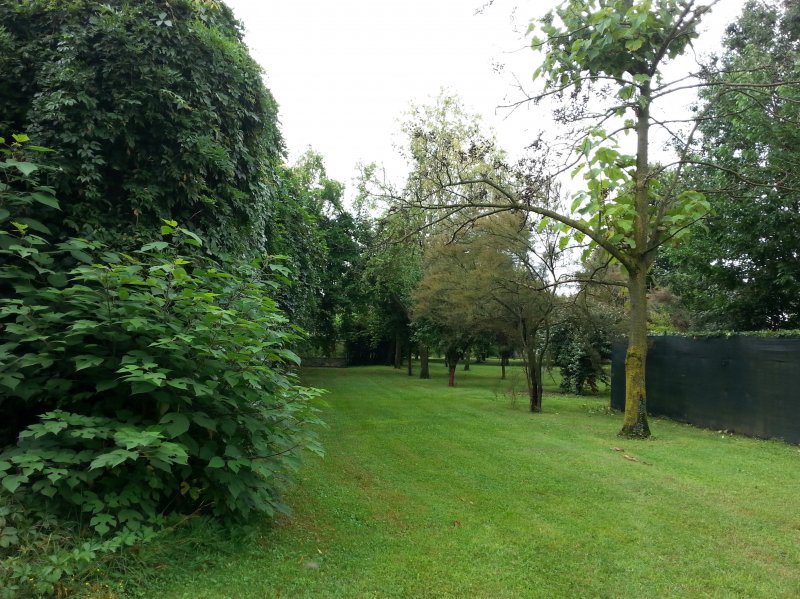 Estate in Buscate, Lombardy, Italy 2 - 17645359