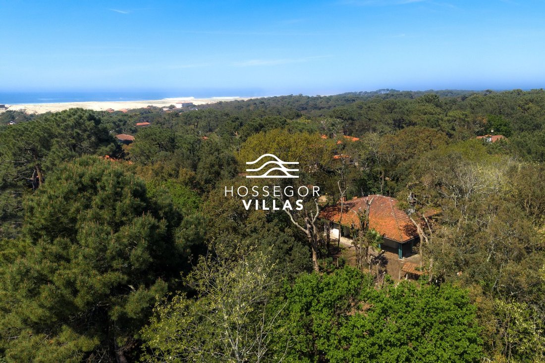 House in Soorts-Hossegor, Nouvelle-Aquitaine, France 1 - 17646337