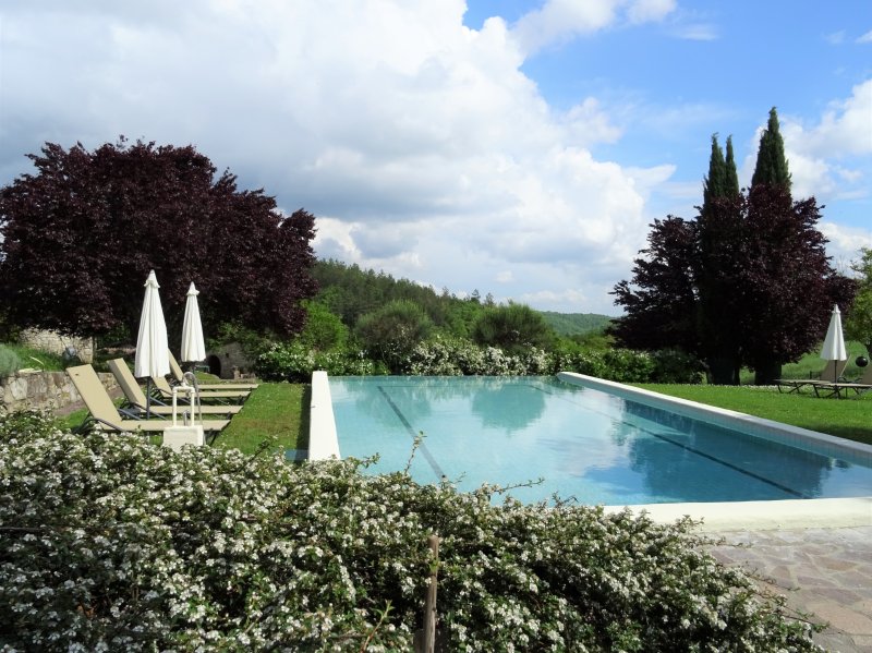 Estate in Radda in Chianti, Tuscany, Italy 3 - 17645375