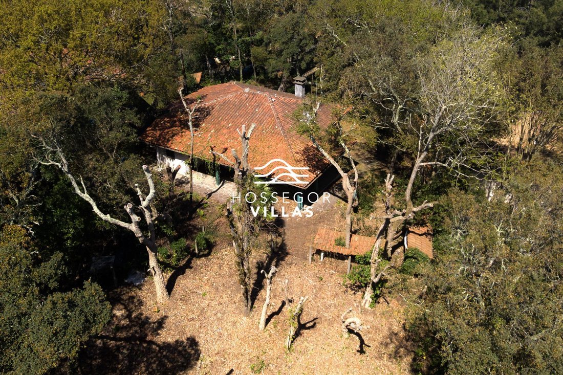 House in Soorts-Hossegor, Nouvelle-Aquitaine, France 2 - 17646337