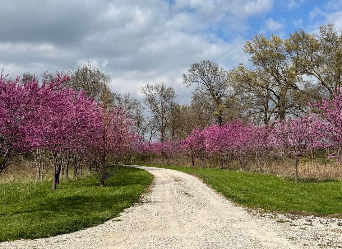 Columbia, Missouri, United States 5 - 17647296