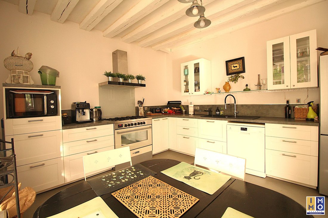 House in Mehun-sur-Yevre, Centre-Val de Loire, France 4 - 17651366