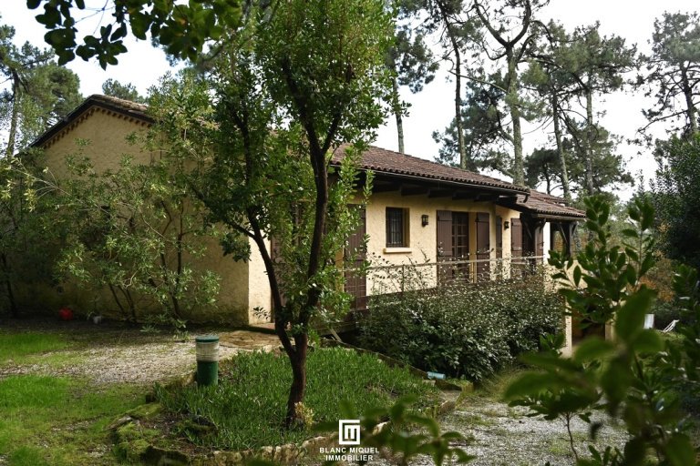 House in Centre Cap Ferret, Lège-Cap-Ferret, France 1 - 16631499