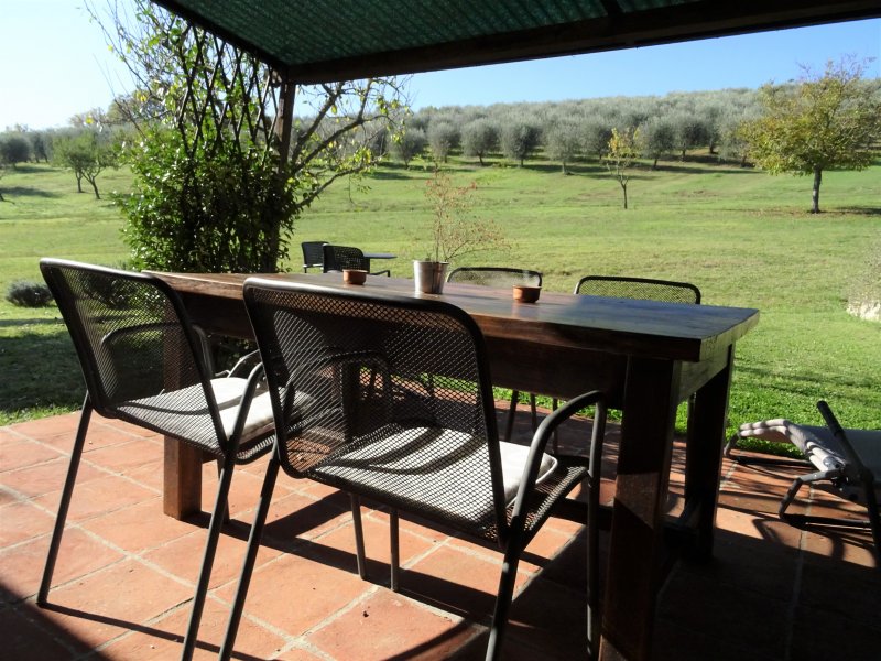 Estate in Radda in Chianti, Tuscany, Italy 4 - 17645375
