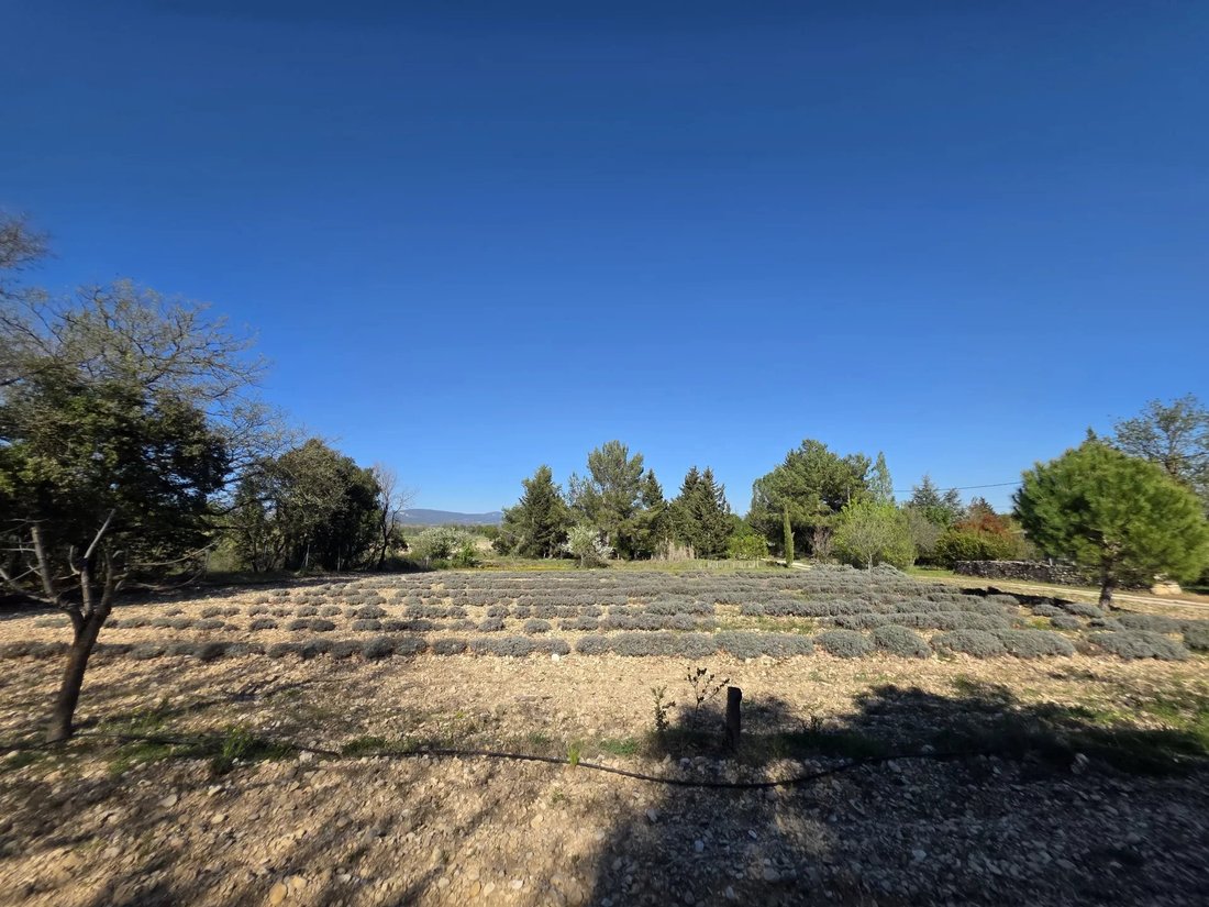 Country House in Gordes, Provence-Alpes-Côte d'Azur, France 2 - 17646870
