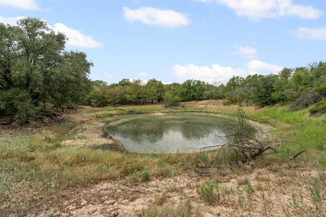 Land in Desdemona, Texas, United States 2 - 17646060
