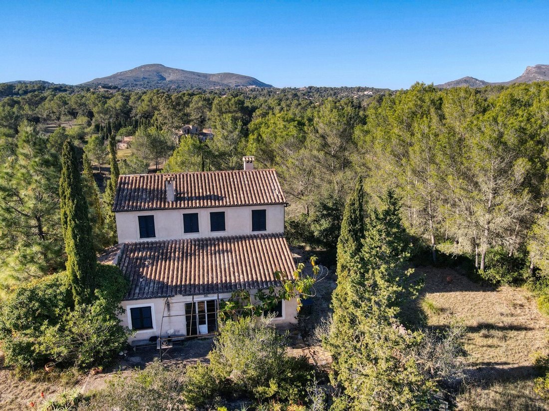 House in Arta, Balearic Islands, Spain 2 - 17651358