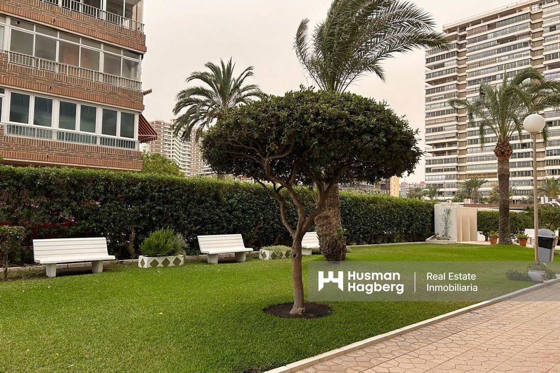Apartment in San Juan Playa, Alicante, Valencian Community 2 - 14357842