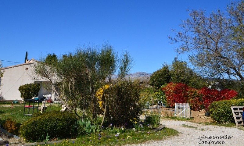 House in Pourrieres, Provence-Alpes-Côte d'Azur, France 1 - 17646947