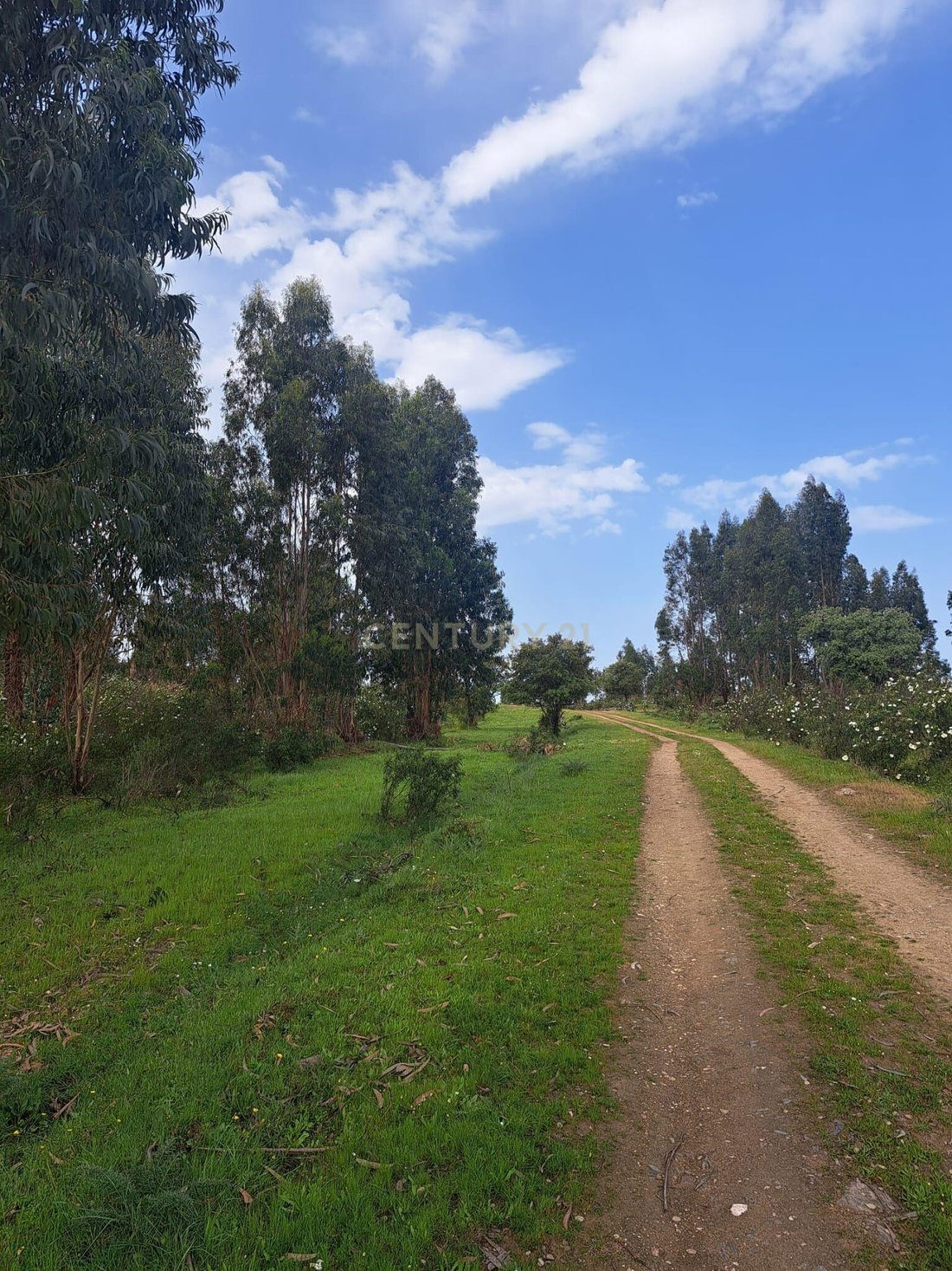 Land in Herrera de Alcantara, Extremadura, Spain 4 - 17652472