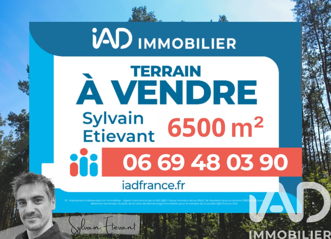 Land in Biscarrosse, Nouvelle-Aquitaine, France 1 - 17513857