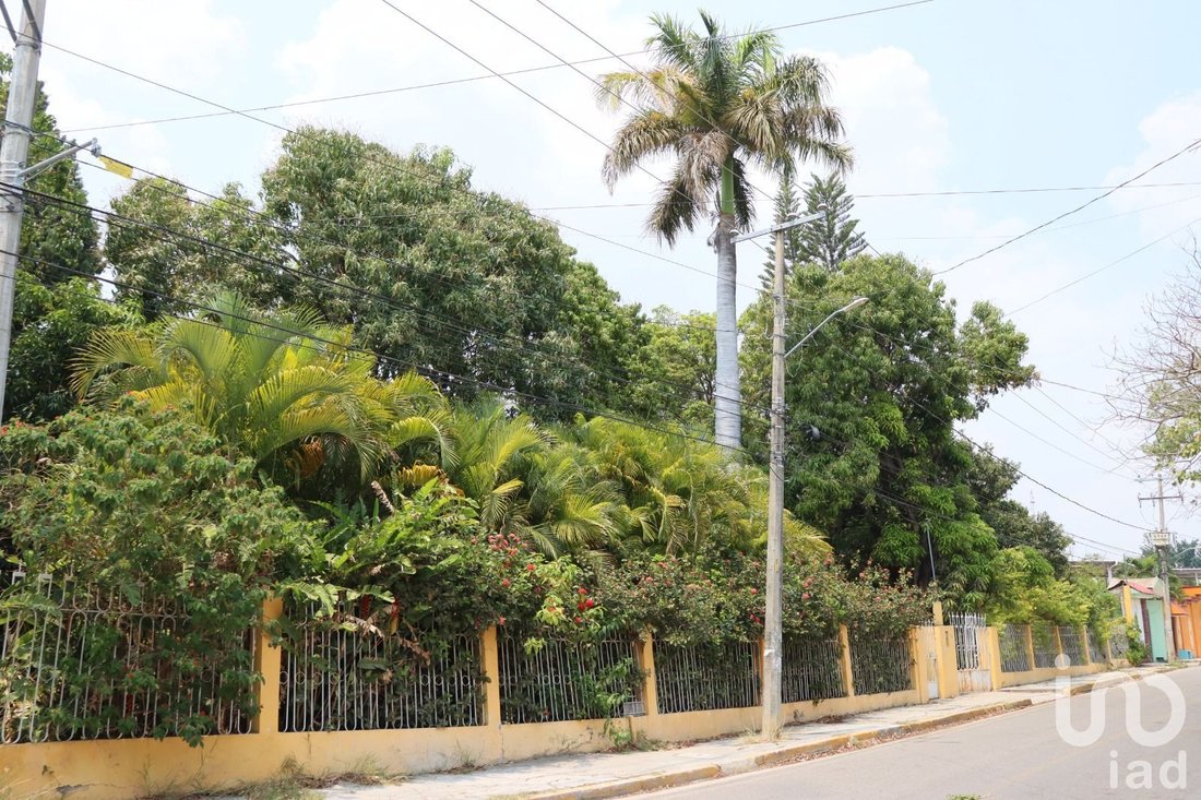 House in Mexico 2 - 17646699