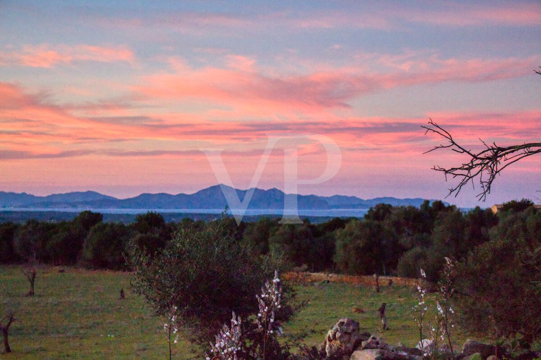 Land in Manacor, Balearic Islands, Spain 2 - 17651173