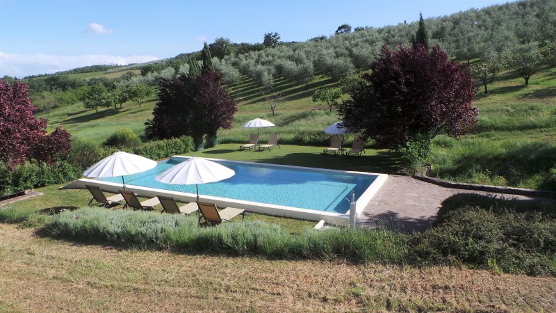 Estate in Radda in Chianti, Tuscany, Italy 1 - 17645375
