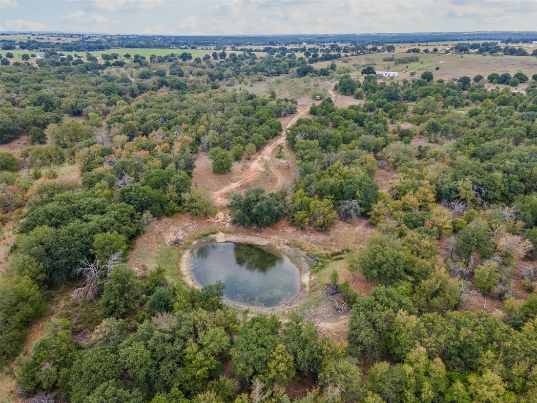 Land in Desdemona, Texas, United States 1 - 17646060